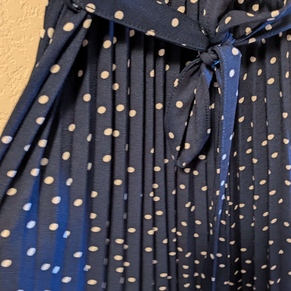Lark & Grey Blue and White Pleated Midi Dress - Picture 4 of 5